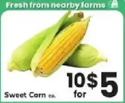 ACME Sweet Corn offer