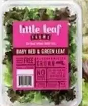 Met Foodmarkets Little Leaf Baby Red & Green Leaf offer
