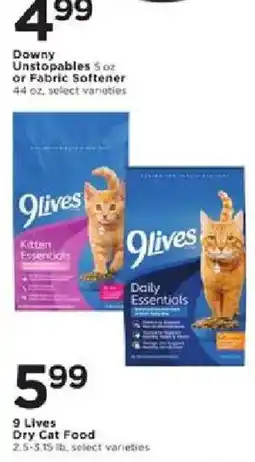 Cub Foods 9 Lives Dry Cat Food offer