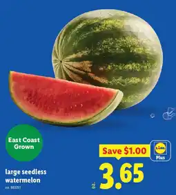 Lidl Lidl Plus large seedless watermelon offer