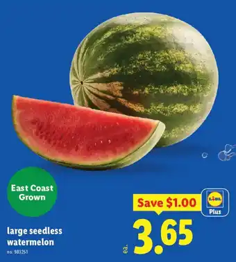 Lidl Plus large seedless watermelon