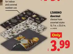 Lidl Livarno doormat offer