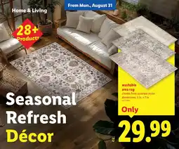 Lidl washable area rug offer