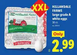 Lidl Hillandale Farms large grade A white eggs offer
