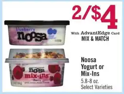 Price Chopper Noosa Yogurt or Mix-Ins offer