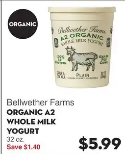 Bristol Farms Bellwether Farms ORGANIC A2 WHOLE MILK YOGURT offer