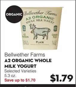 Bristol Farms Bellwether Farms A2 ORGANIC WHOLE MILK YOGURT offer