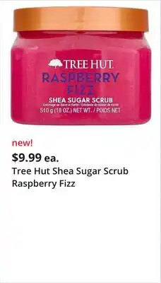 JC Penney Tree Hut Shea Sugar Scrub Raspberry Fizz offer