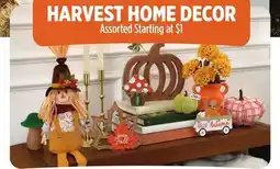 Dollar General HARVEST HOME DECOR offer