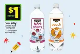 Dollar General Clover Valley Sparkling Water offer