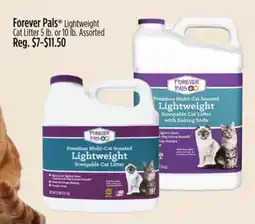 Dollar General Forever Pals Lightweight Cat Litter offer