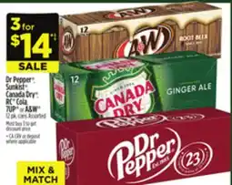 Dollar General Dr Pepper Sunkist Canada Dry RC Cola offer