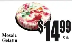 Baja Ranch Mosaic Gelatin offer