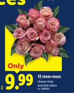 Lidl 12 stem roses offer