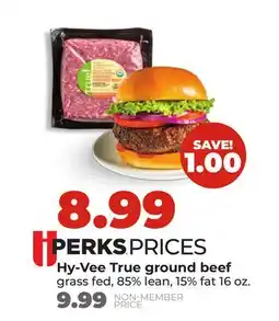Hy-Vee Hy-Vee True ground beef offer