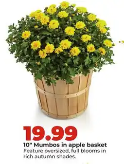 Hy-Vee 10 Mumbos in apple basket offer