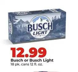 Hy-Vee Busch or Busch Light offer