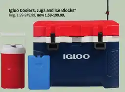 Meijer Igloo Coolers, Jugs and Ice Blocks offer