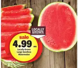 Meijer Locally Grown Large Seedless Watermelon offer
