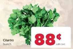 Family Fresh Market Cilantro bunch offer