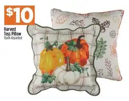 Dollar General Harvest Toss Pillow offer