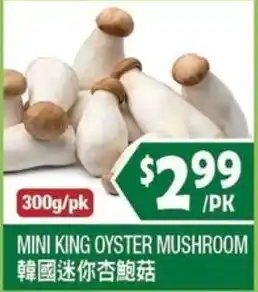 Mini King Oyster Mushroom