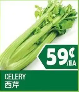 99 Ranch Celery offer