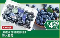 99 Ranch Mighty Blues Jumbo Blueberries offer