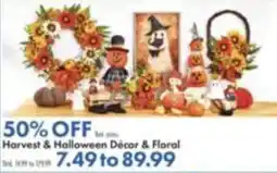 Boscov's Harvest & Halloween Decor & Floral offer