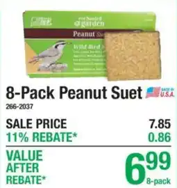Menards Enchanted Garden Peanut Suet offer