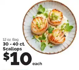 Harris Teeter Scallops offer