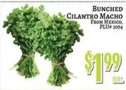 Trade Fair Supermarket Bunched Cilantro Macho offer