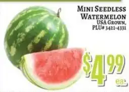 Trade Fair Supermarket Mini Seedless Watermelon offer