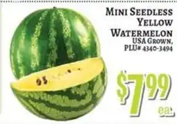 Trade Fair Supermarket Mini Seedless Yellow Watermelon offer