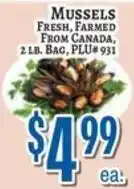 Trade Fair Supermarket Mussels offer