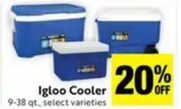 Lucky Supermarkets Igloo Cooler offer