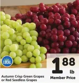 Vons Autumn Crisp Green Grapes or Red Seedless Grapes offer