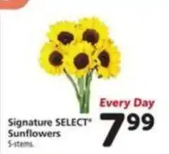 Vons Signature Select Sunflowers offer