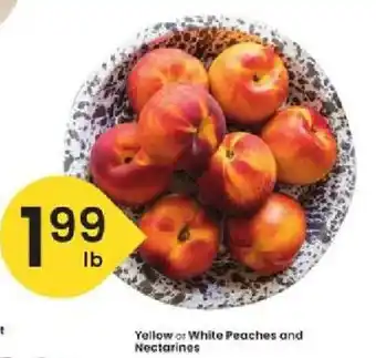 Yellow or White Peaches and Nectarines
