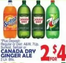 Bravo Supermarkets Canada dry Ginger ale offer