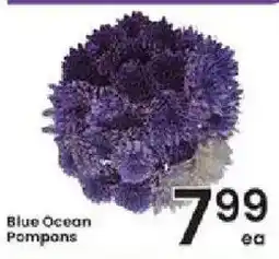 Albertsons Blue Ocean Pompons offer