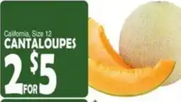 Bravo Supermarkets California cantaloupes offer