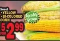 Bravo Supermarkets Sweet yellow bi-colored corn offer