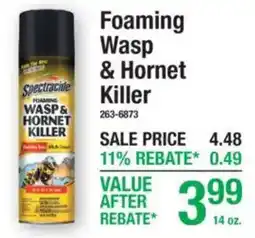 Menards Spectracide foaming wasp & hornet killer offer