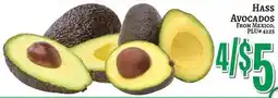 Trade Fair Supermarket Hass avocados offer