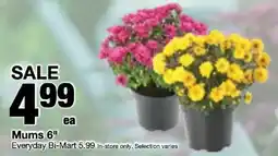 Bi-Mart Everyday Bi-Mart Mums offer