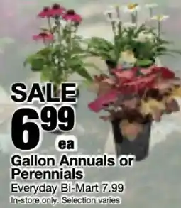 Bi-Mart Gallon Annuals or Perennials offer