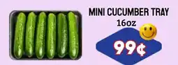Seven Mile Market Mini Cucumber Tray offer