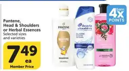 Vons Pantene, Head & Shoulders or Herbal Essences offer