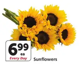 Vons Sunflowers offer
